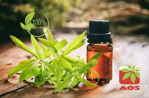 tarrgon oil