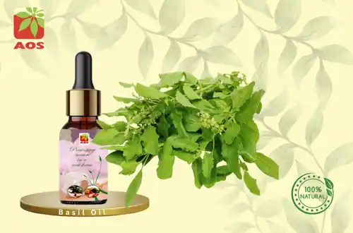 Basil Oil