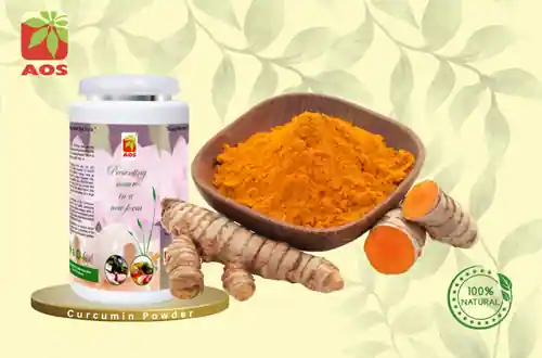 Curcumin Powder