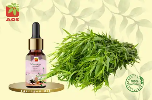 Tarragon Oil