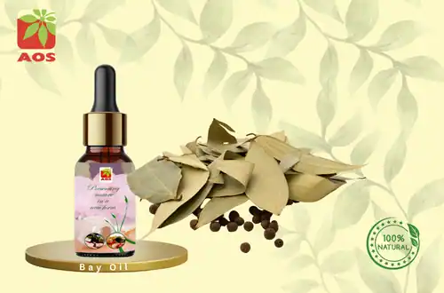 Bay Oil