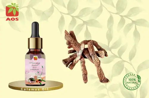 Calamus Oil