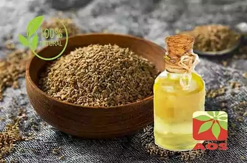 Ajwain-Oil