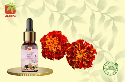 Tagetes Oil