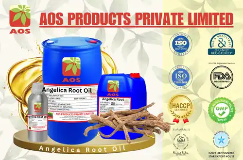Angelica Root Oil