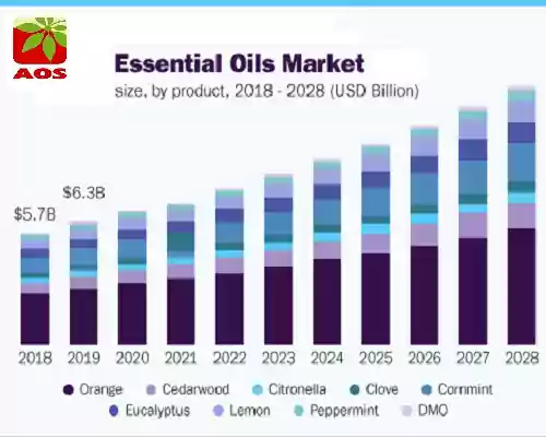 Potential Market of Essential Oils